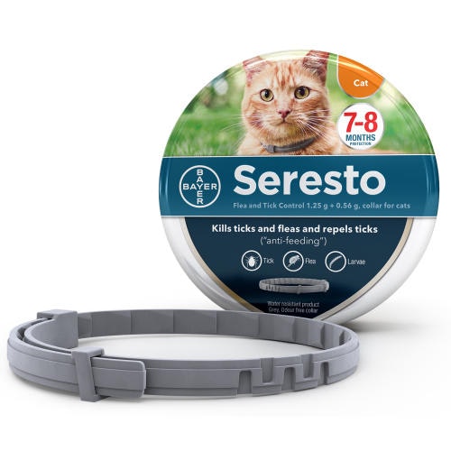 The best flea collars for your cats that will make your life easy